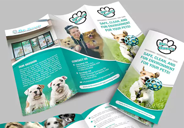 Lorem ipsum dolor sit amet, consectetur adipiscing elit. Curabitur tincidunt gravida lorem, vel mollis nisl.